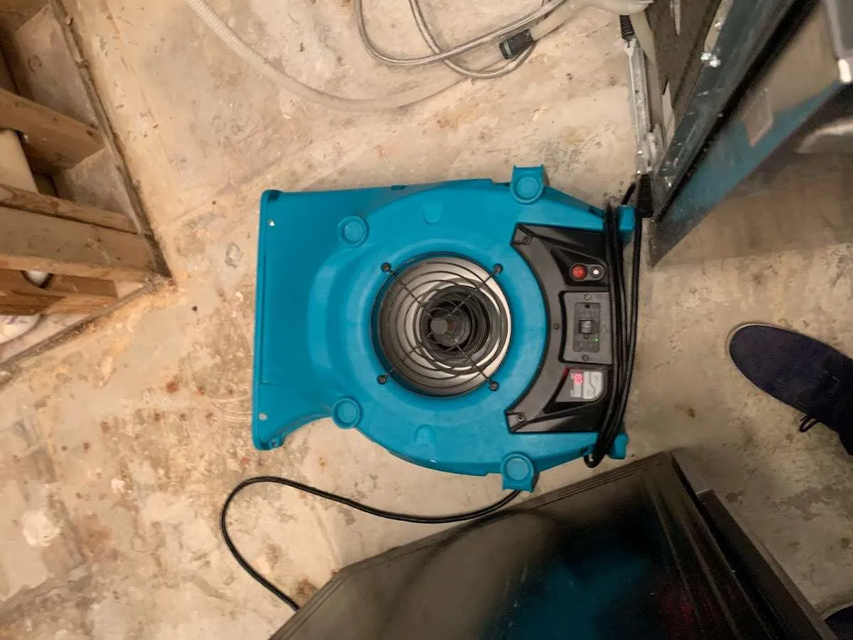 Air mover drying equipment for Mold Remediation & Removal in West New York